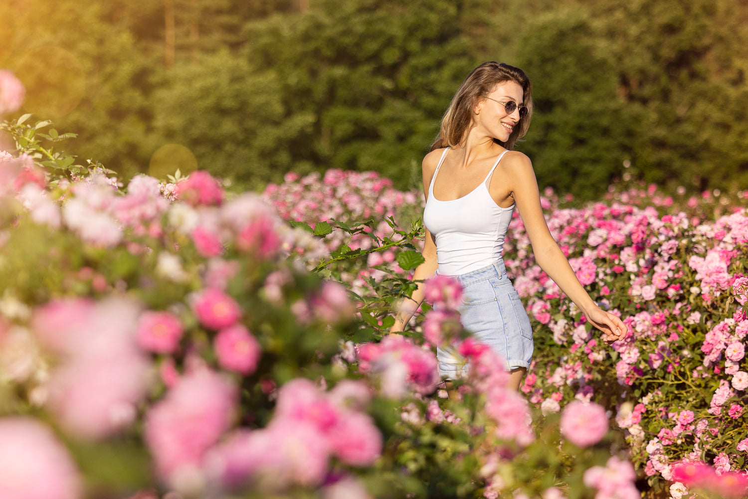 A young woman is strolling through a field of Bulgarian roses.