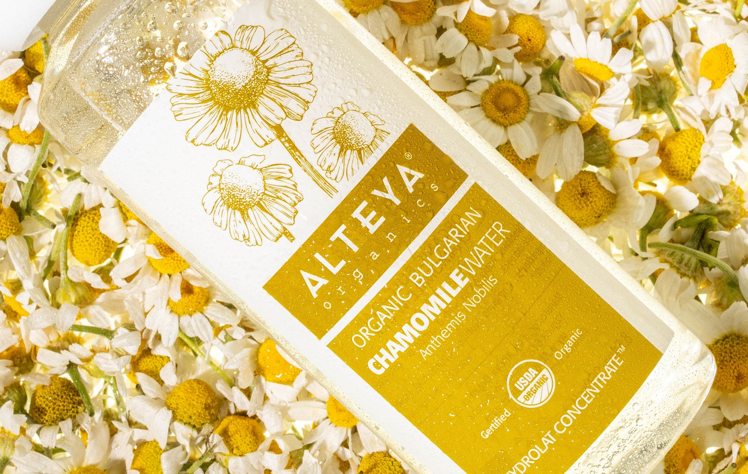 A bottle of chamomile soap surrounded by chamomile flowers in a bed of rose fields.