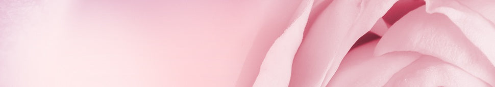 A close up image of a pink background featuring Bulgarian rose.