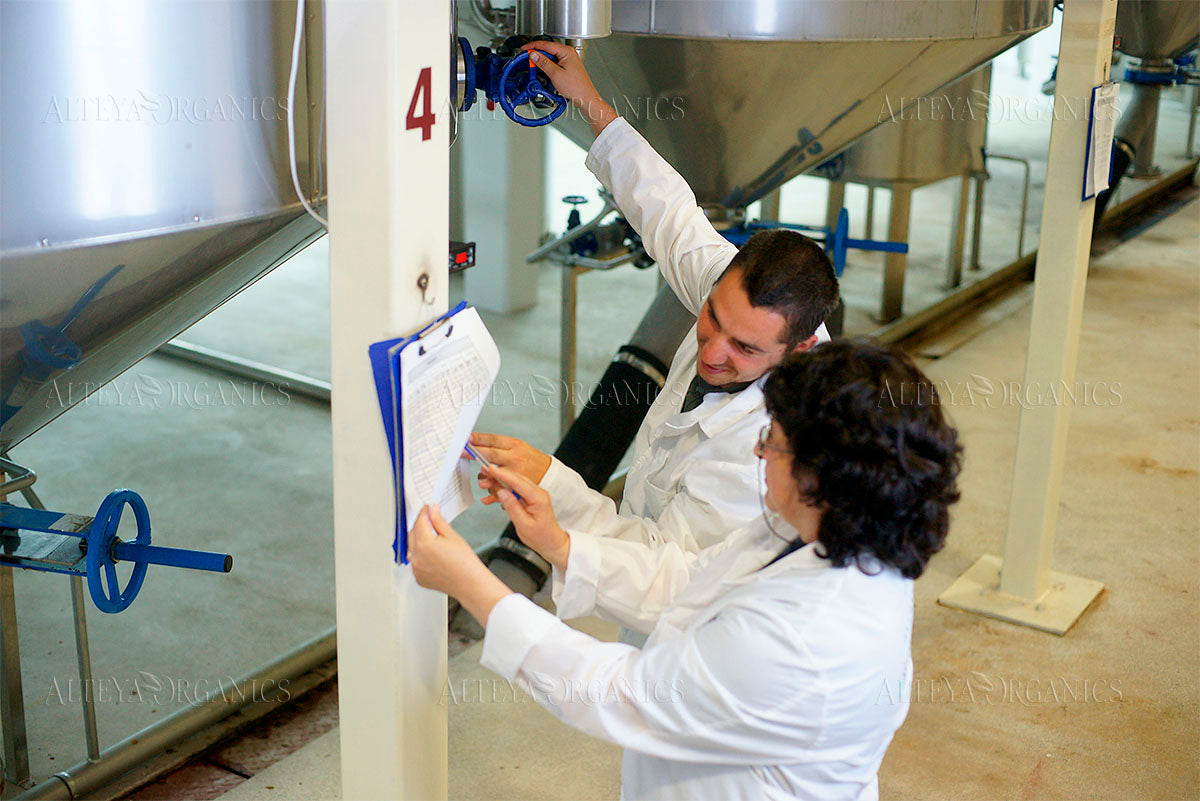 Two people in lab coats examining a piece of paper related to rose fields and Alteya.