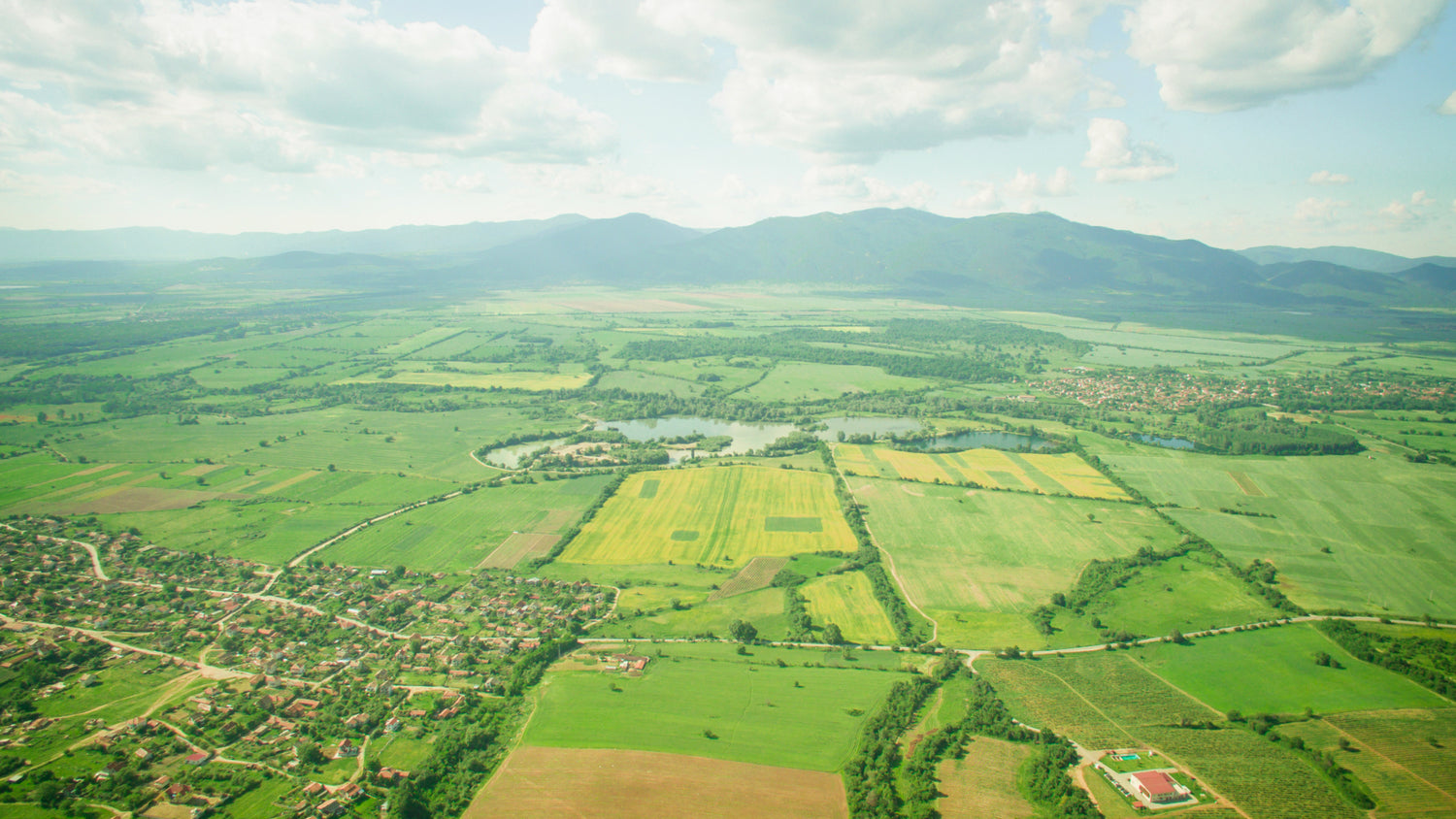 An aerial view of a green field and a rose field.