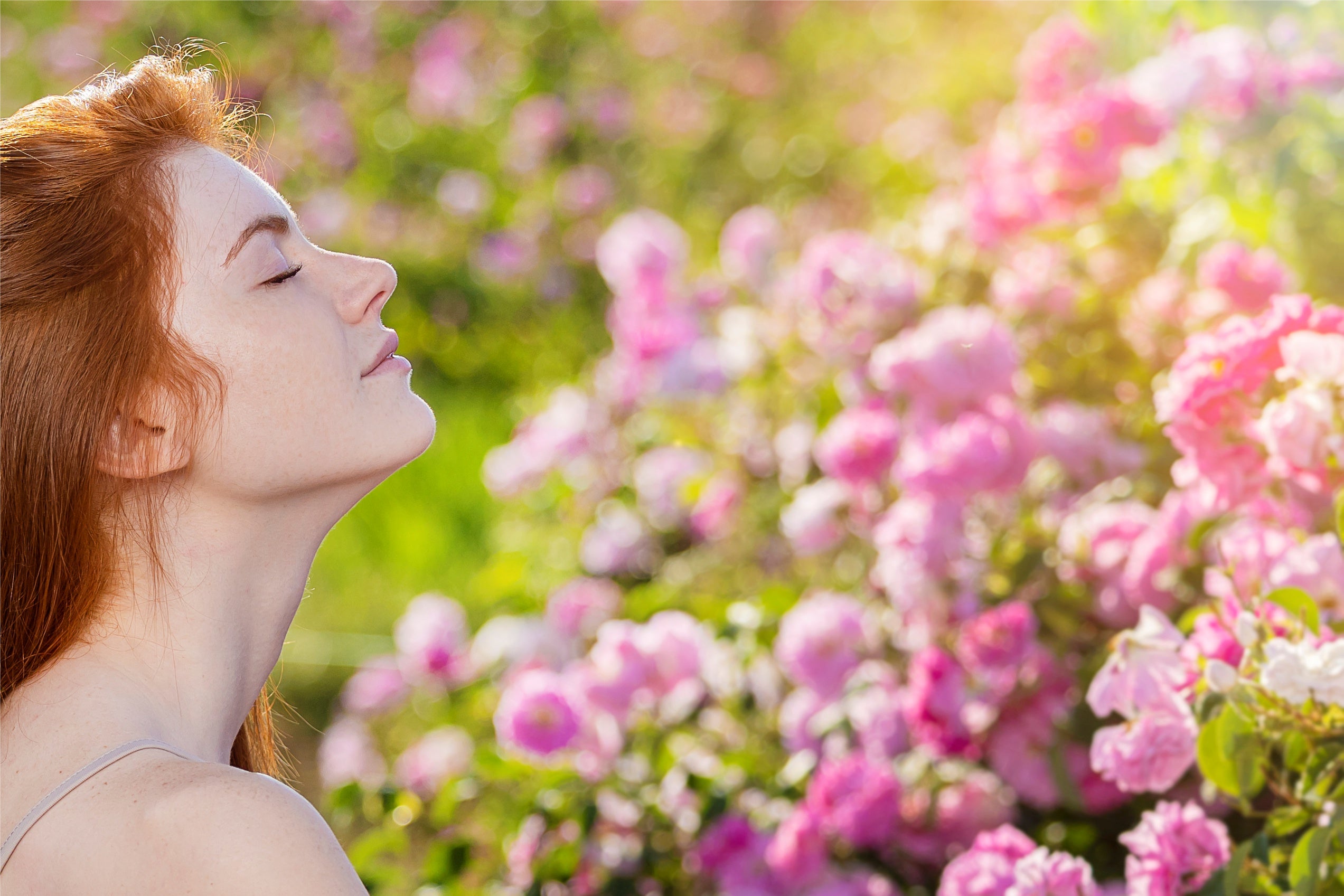 A woman with red hair in a field of roses.