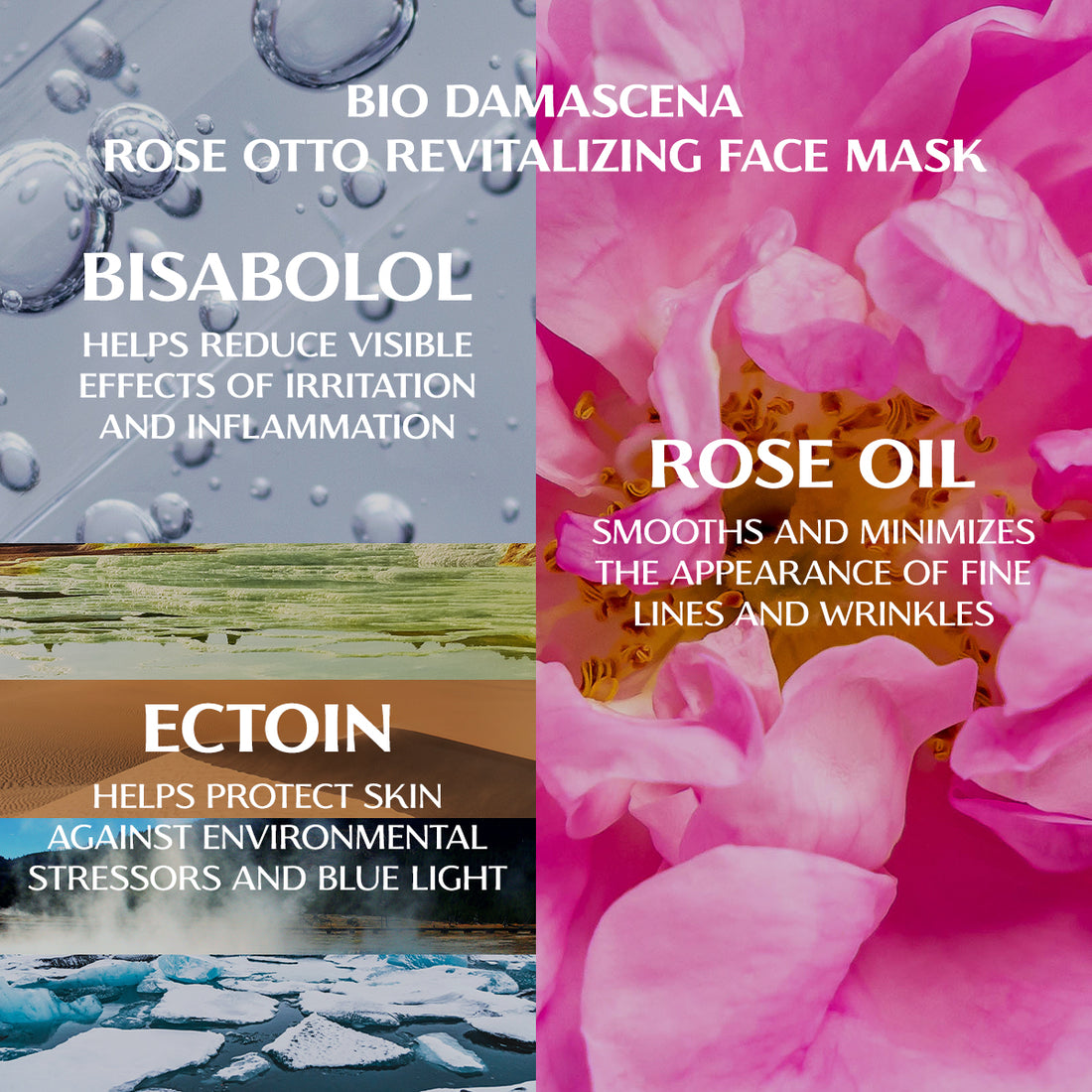 A collage highlighting the benefits of various skincare ingredients, including BIO DAMASCENA ROSE OTTO REVITALIZING FACE MASK, bisabolol, rose oil, and ectoin for hydration, inflammation reduction, smoothing lines, and protection against environmental stress.