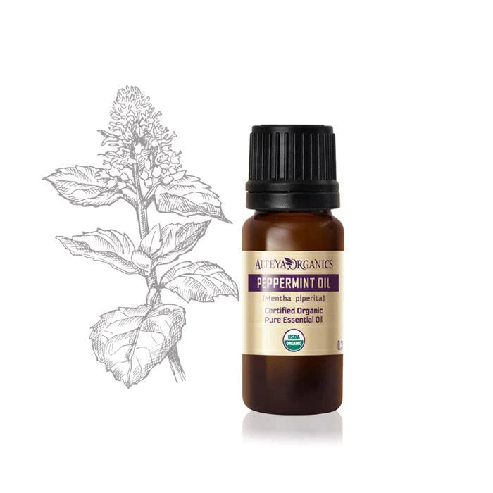 A bottle of peppermint essential oil next to a drawing of a flower, highlighting its therapeutic use for skincare and cosmetic purposes.