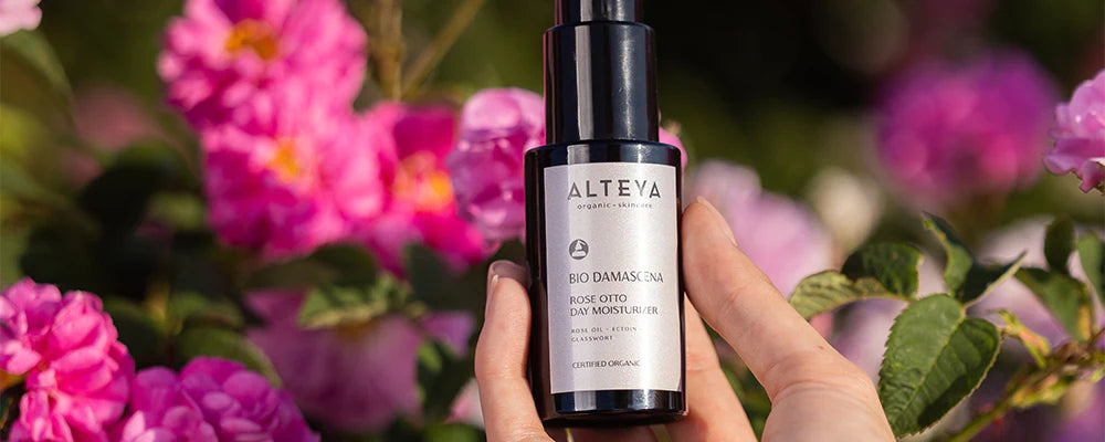 A hand holding a bottle of rosa damascena facial oil in front of alteya flowers in the rose fields.