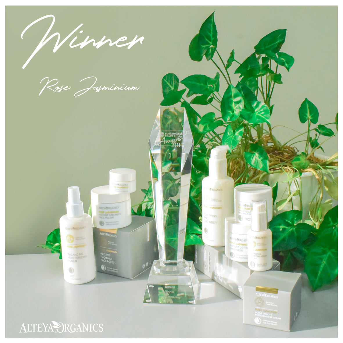 A photo of a beauty product featuring a rosa damascena plant with rose fields in the background.