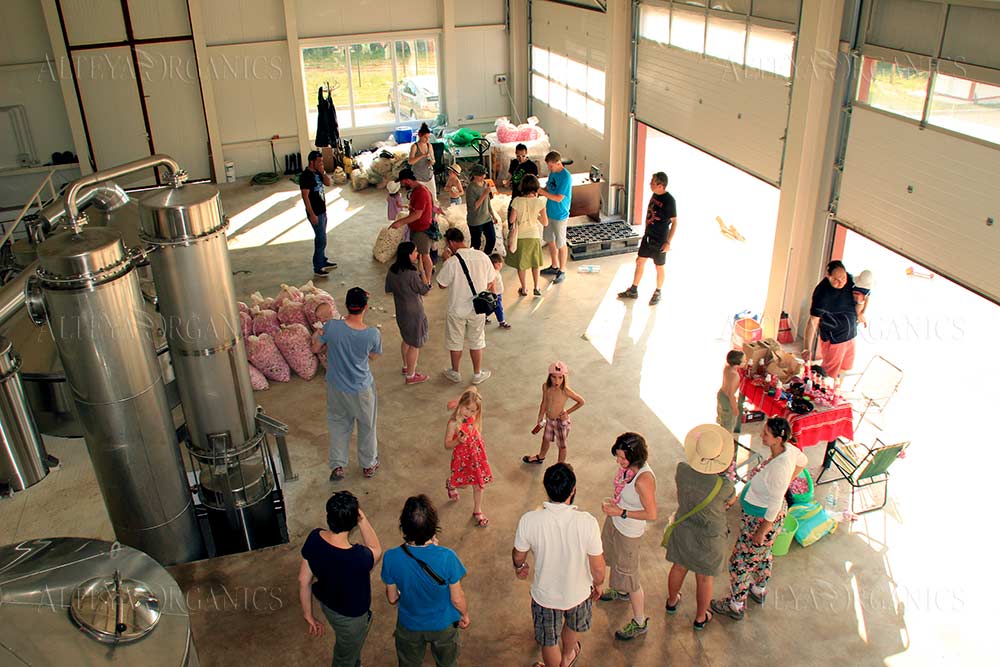 A group of people standing in a warehouse filled with Bulgarian rose fields, surrounded by the beautiful aroma of Alteya roses.