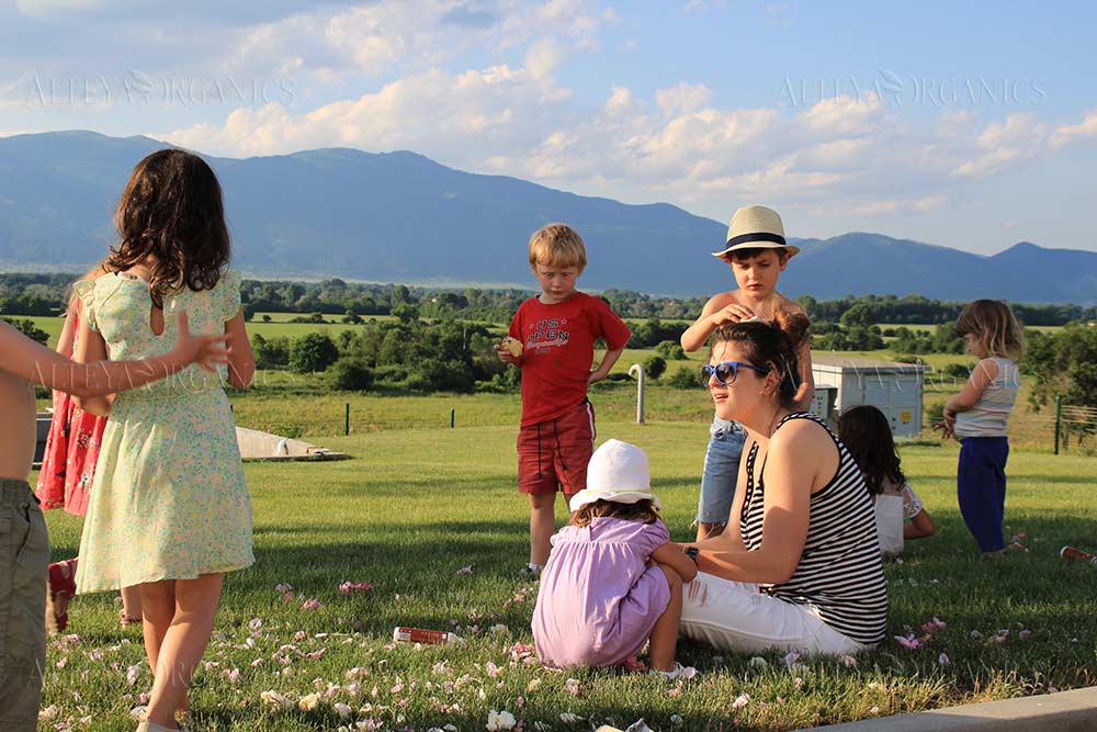 A group of children in a field surrounded by mountains with rose fields in the background.