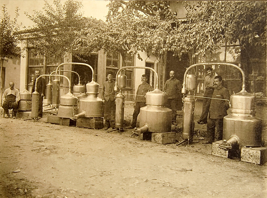 A group of men standing next to a large pot in the midst of rose fields.