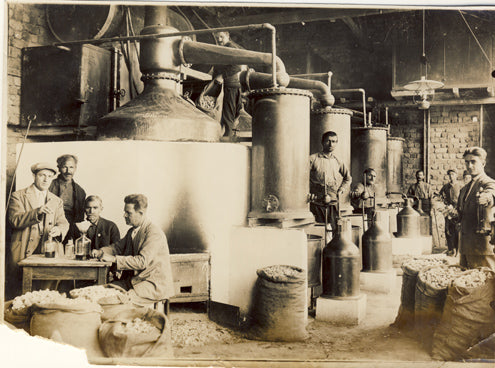 A group of men standing in a rose factory.
