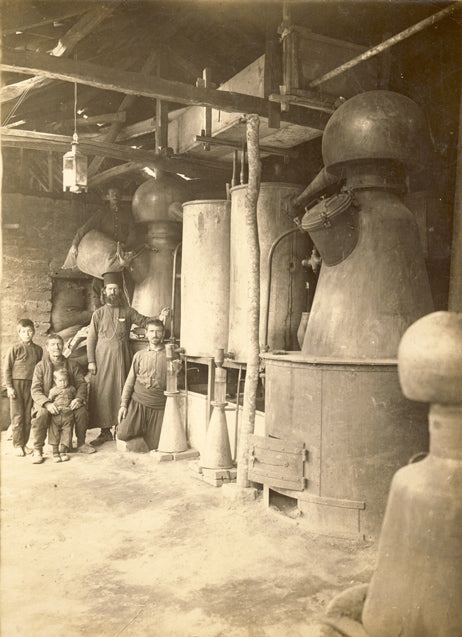 A group of people standing in front of a large number of Bulgarian rose pots.