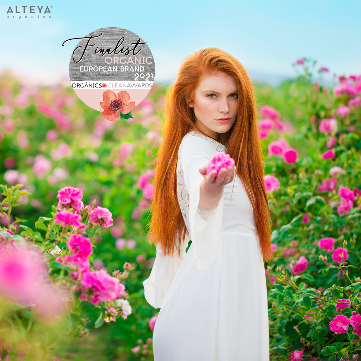 A girl in a white dress standing in a Bulgarian rose field.