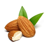 A group of almonds with leaves.