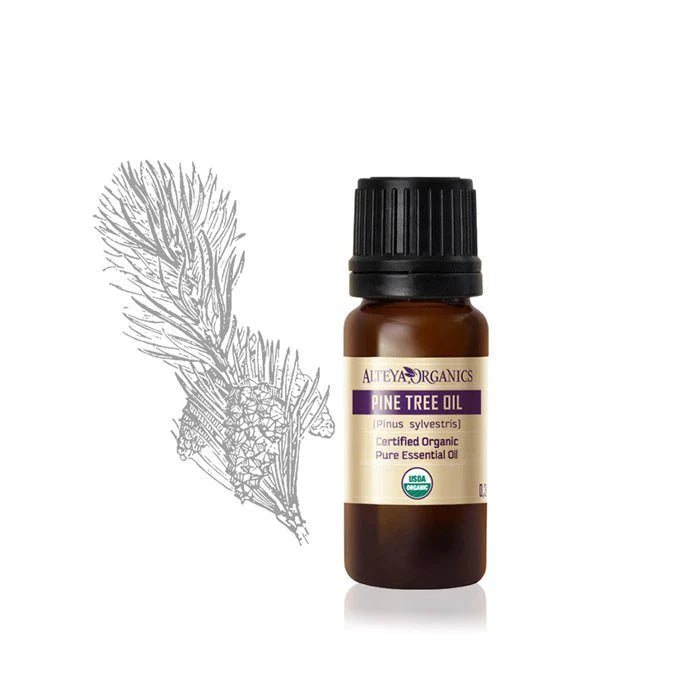 Bulgarian Pine Needle essential oil with a pine cone, perfect for aromatherapy and skincare.