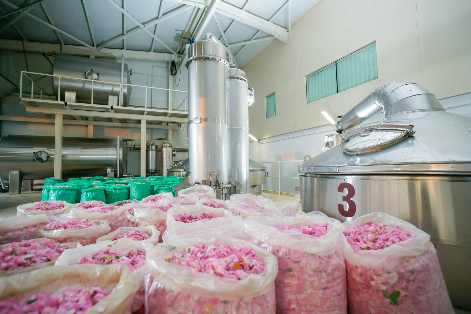 A factory filled with bags of Bulgarian rose flowers.