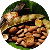 A group of nuts on a leaf.