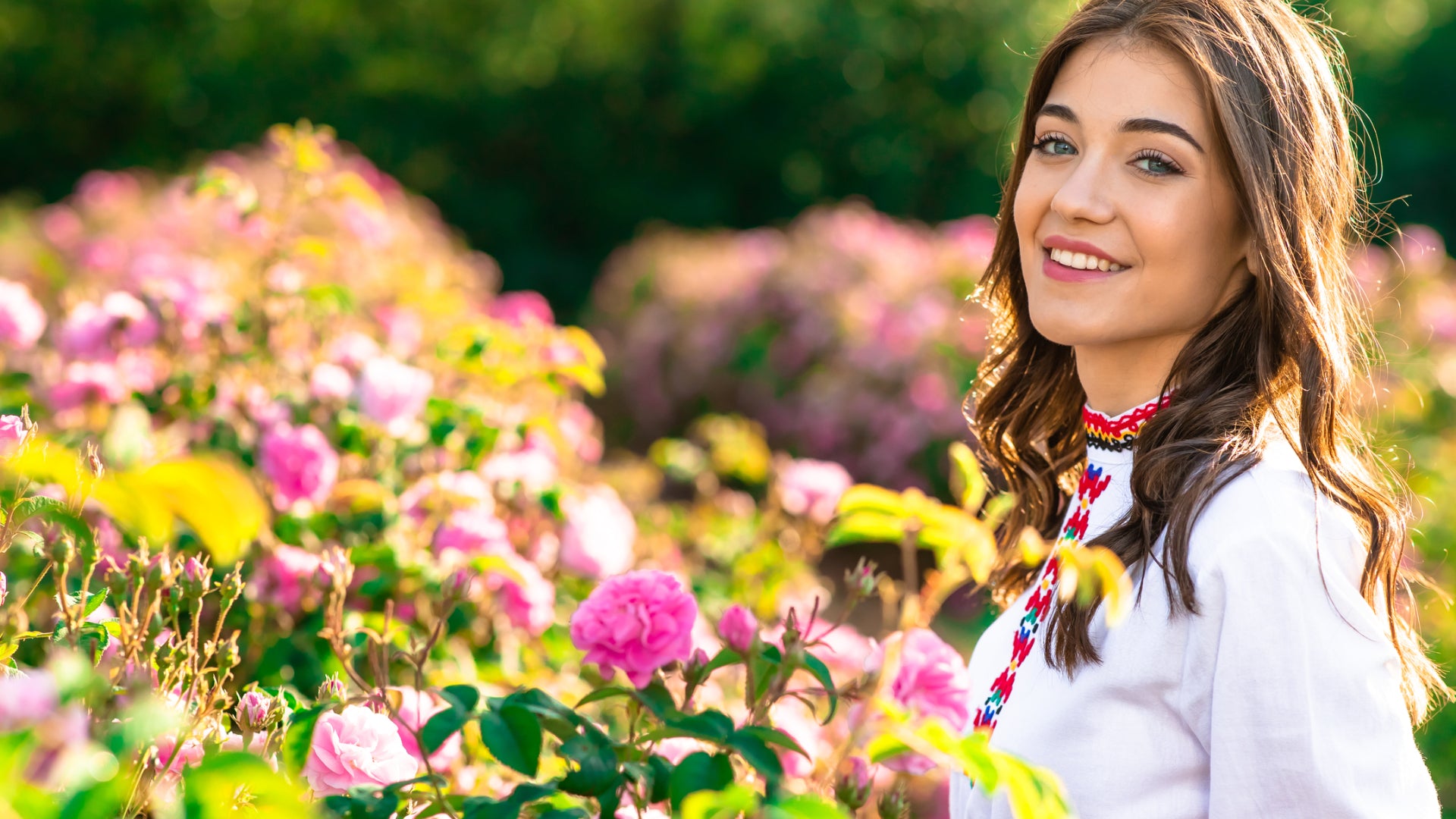 A woman in a white shirt is standing in a field of rosa damascena.