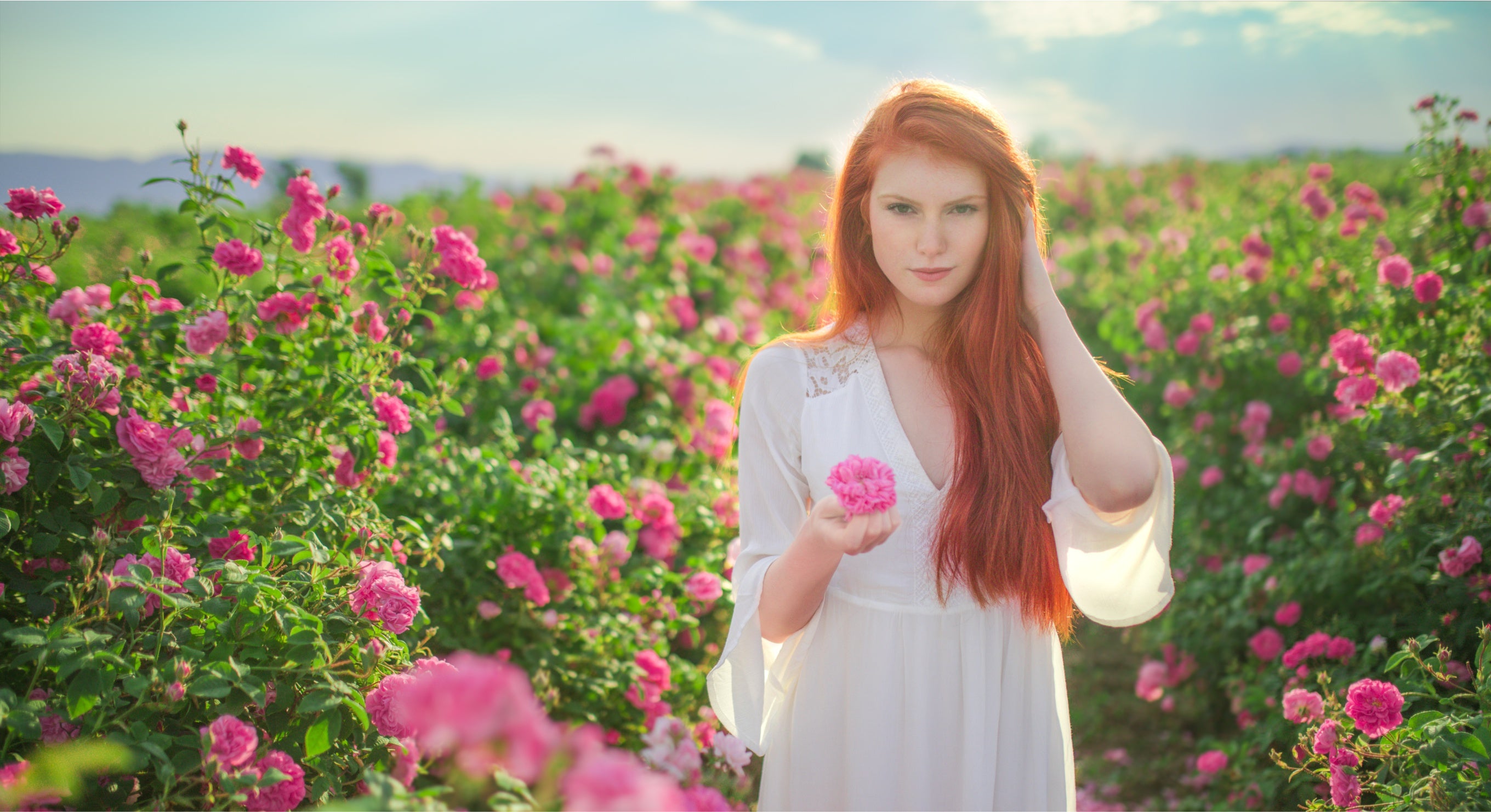 A woman with red hair standing in a field of Bulgarian roses (Rosa Damascena).