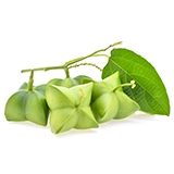 A group of green fruit with leaves.